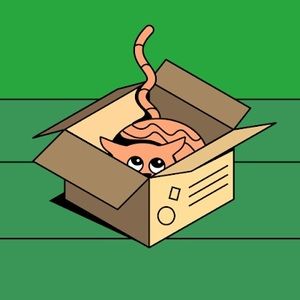 Meet your Posher, Hailin